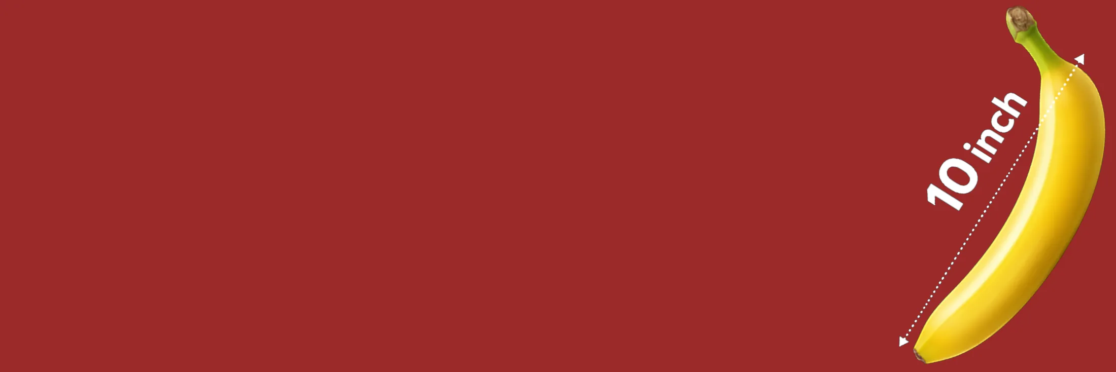 background life support labs