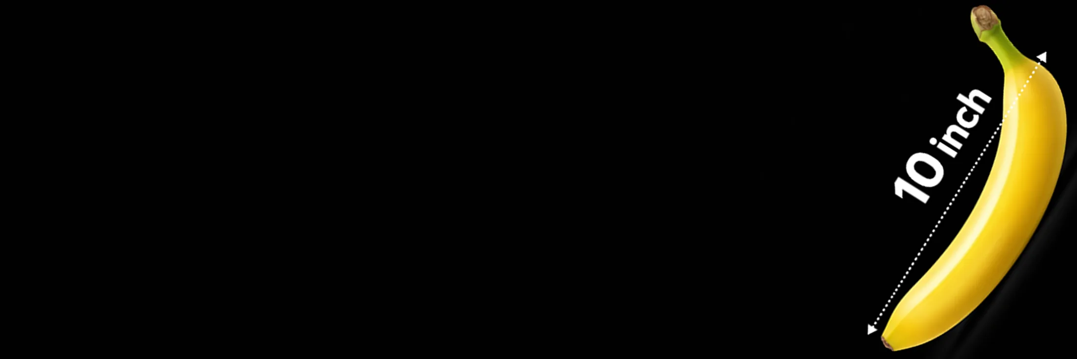 background prime beast xr